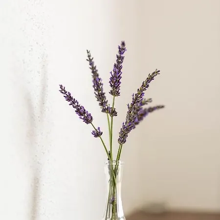 Apartmán Mia Prozor